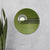'Green Tribe' Red Handpainted Terracotta Decorative Wall Plate, 9 Inch
