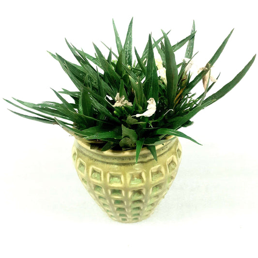 Indoor Ceramic Planter Outdoor Garden Decorative Pots - artystagallery