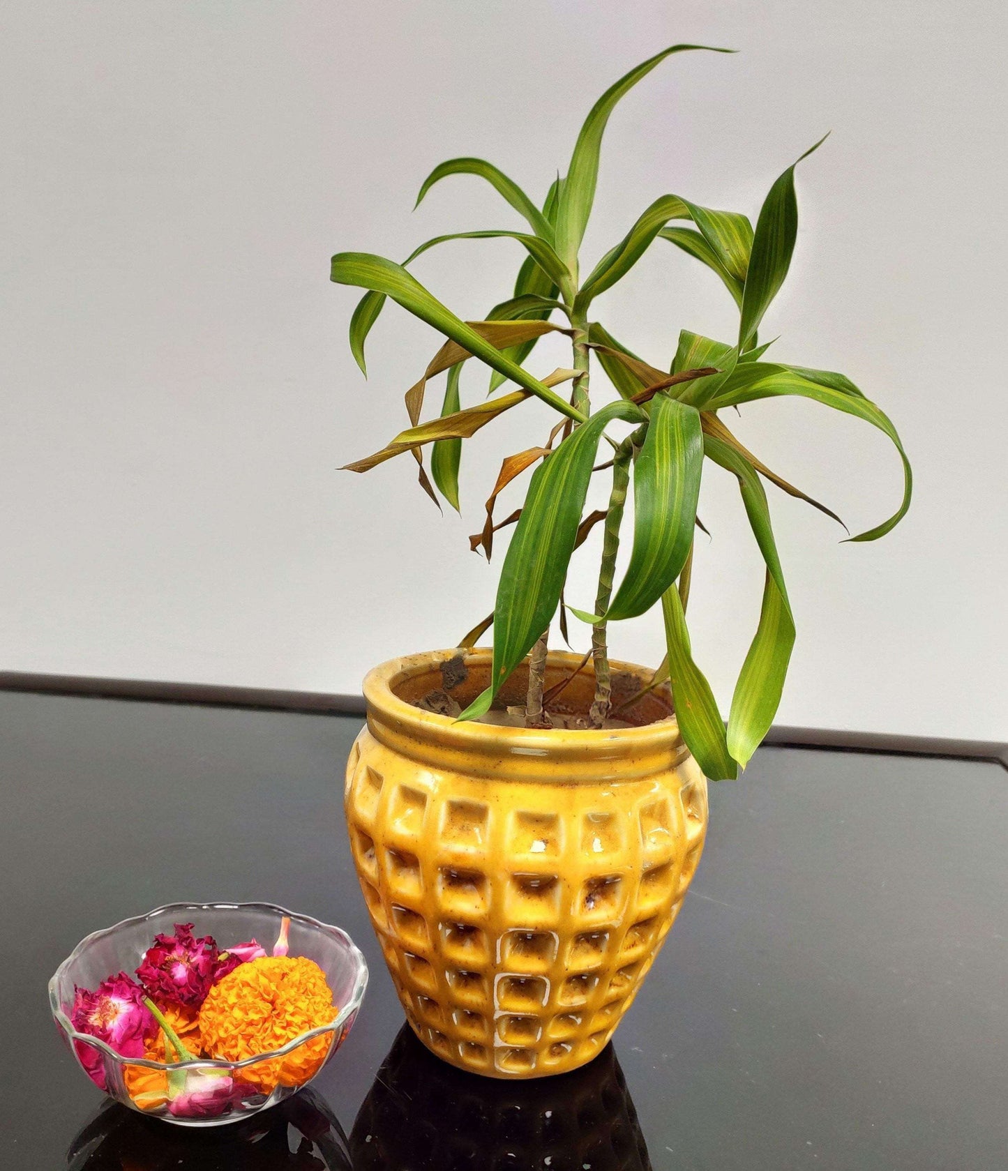 Indoor Ceramic Planter Outdoor Garden Decorative Pots - artystagallery