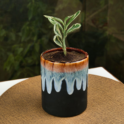 'Smokey Honey Drips' Hand Glazed Ceramic Studio Pottery Planter - artystagallery