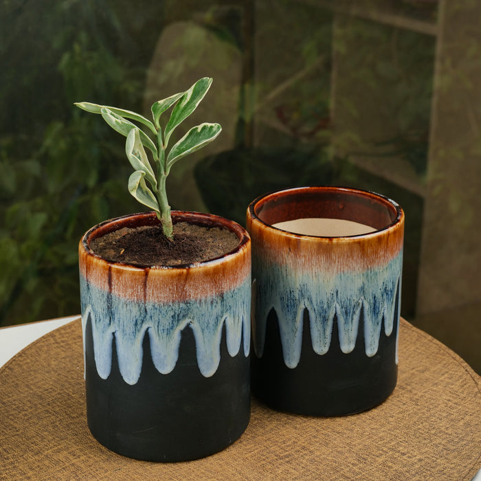 'Smokey Honey Drips' Hand Glazed Ceramic Studio Pottery Planter - artystagallery