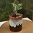 'Chocolate Honey Drips' Studio Pottery Ceramic Planter - artystagallery