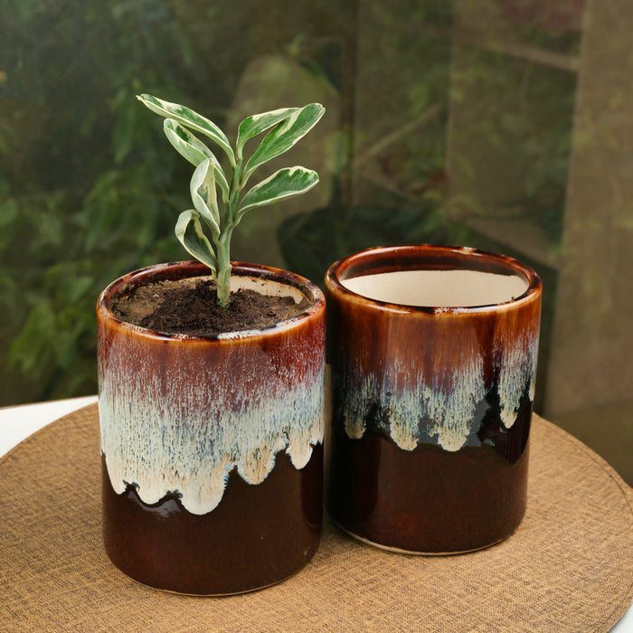 'Chocolate Honey Drips' Studio Pottery Ceramic Planter - artystagallery