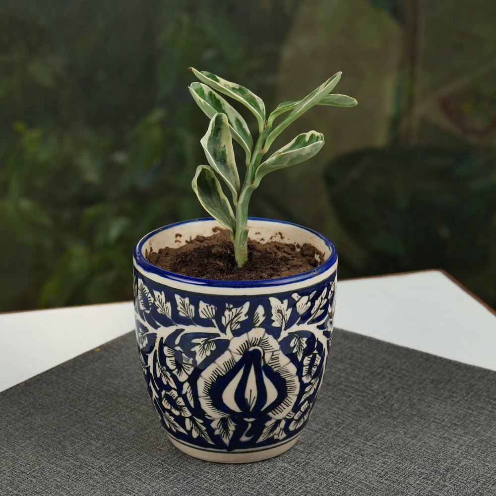 'Turkish Indigo' Decorative Ceramic Planter - artystagallery
