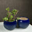 'Indigo Ridged' Ceramic Studio Pottery Planter Pot - artystagallery
