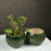 'Olive Ridged' Hand Glazed Ceramic Studio Pottery Planter - artystagallery