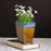 Ceramic Indoor Trapeze Planter | Handmade Pot Planter For Home - artystagallery