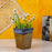 Ceramic Indoor Trapeze Planter | Handmade Pot Planter For Home - artystagallery